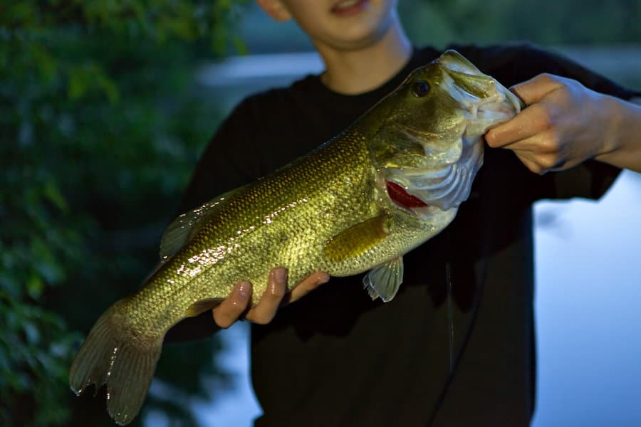 Cloudy & Overcast Days: Is the Bass Fishing Good? (+7 Tips)