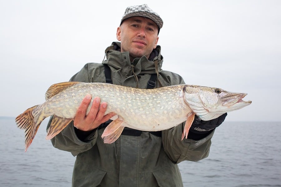 a-complete-fisherman-s-guide-to-catching-big-northern-pike
