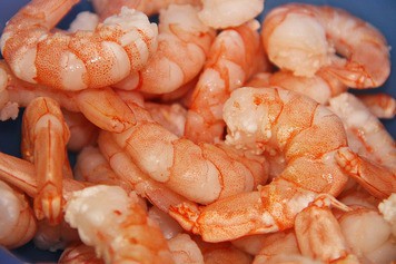 shrimp freshwater bait