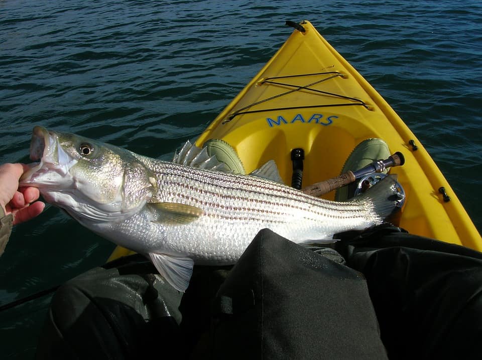 How Weather Conditions Impact Striped Bass Fishing (Guide) - Freshwater  Fishing Advice
