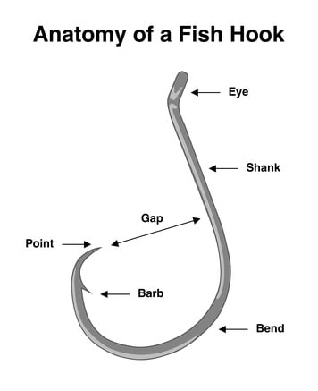 fishing hook anatomy