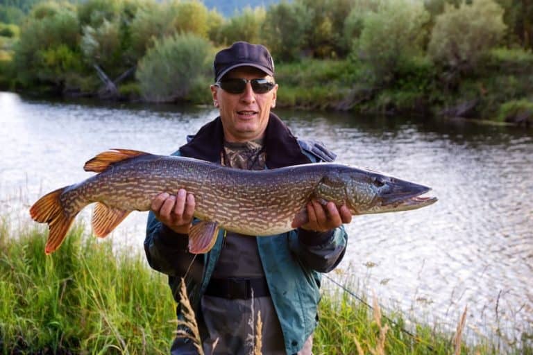 Best Water Temperatures for Pike Fishing (Complete Guide)