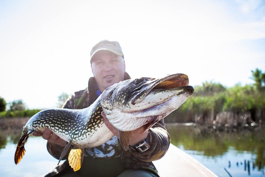 man holding northern pike