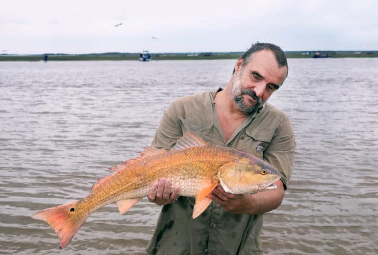 Best Time & Tides to Catch Big Redfish (All Explained)