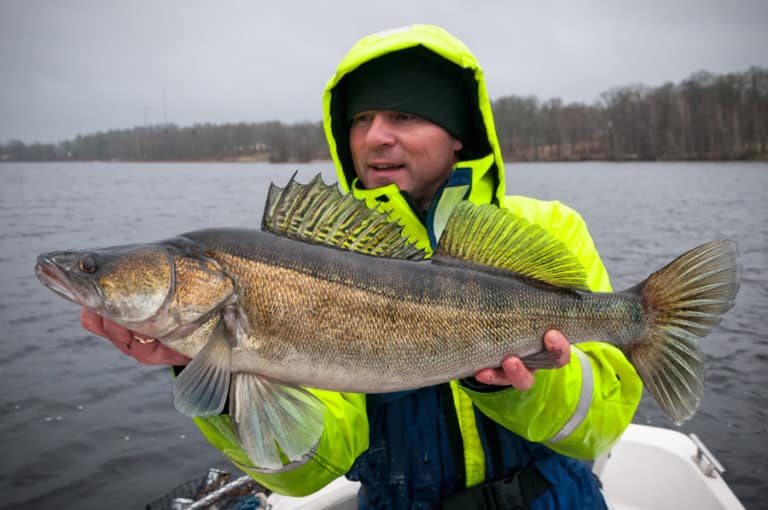 Cloudy & Overcast Days: Is Walleye Fishing Good? (+7 Tips)