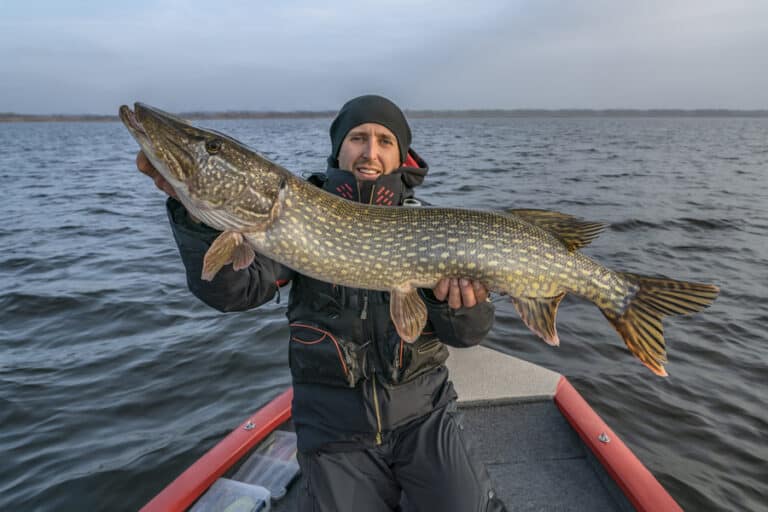 (Seasonal Guide) Best Time of Day to Catch Pike