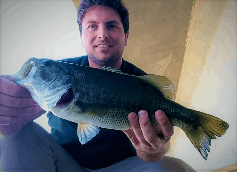 nice bass caught under a bridge