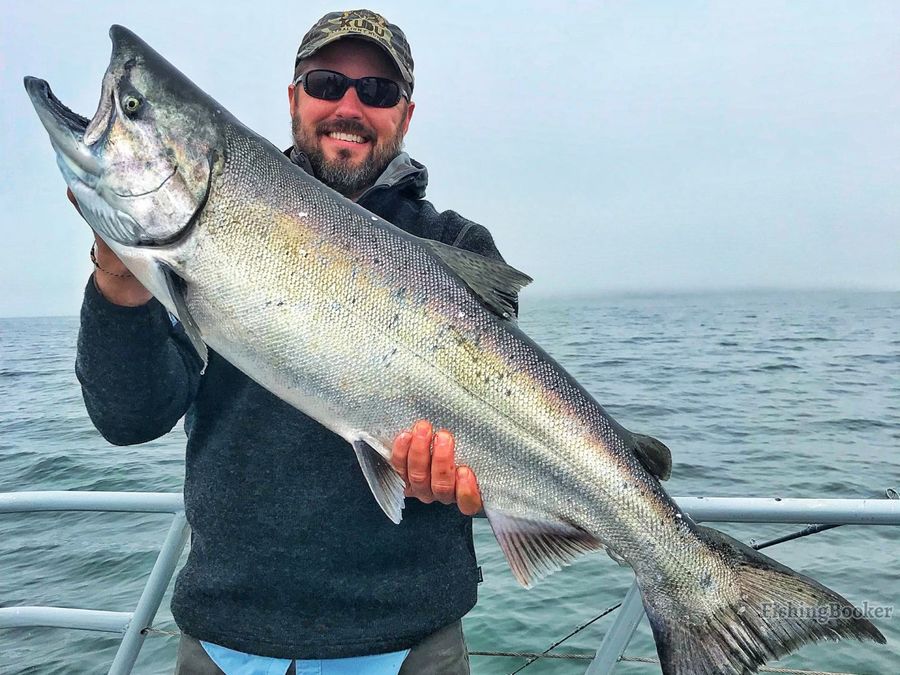 Damn Good Tips And Tricks for Catching a Salmon in Lake Michigan