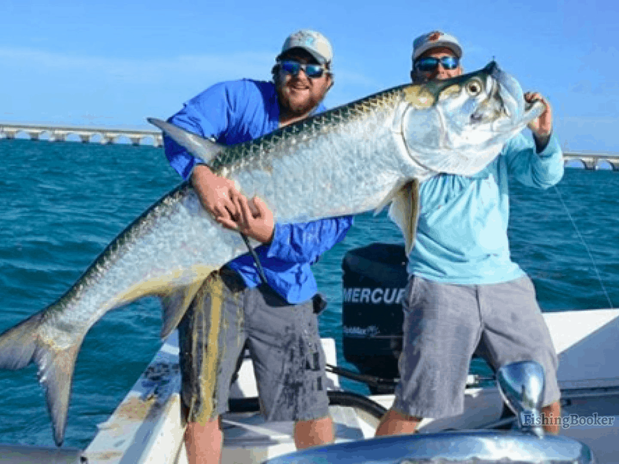 Best Times to Fish the Florida Keys (5 Best Islands)
