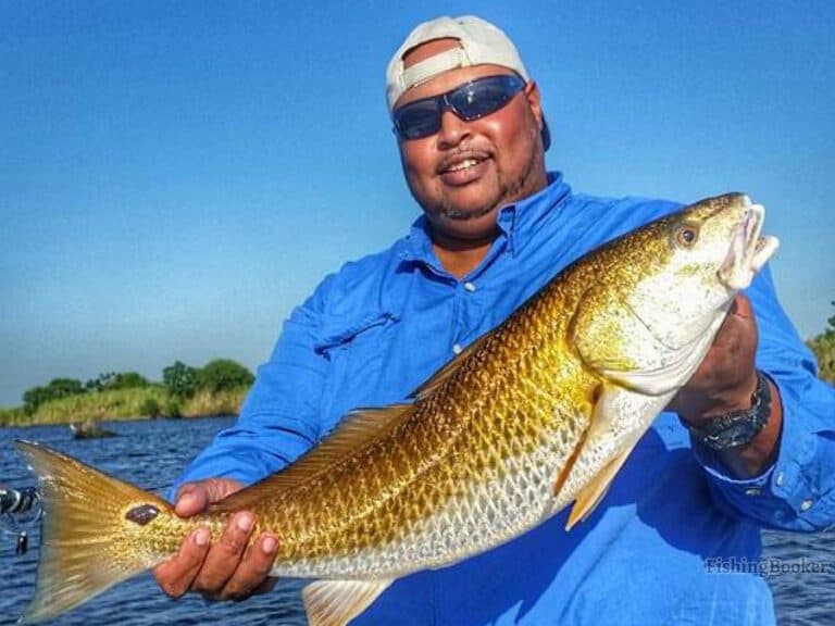 Best Redfish Fishing Spots in Louisiana (A Complete Guide)