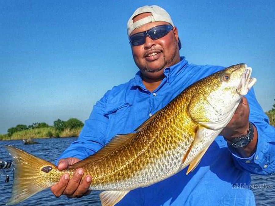 Best Redfish Fishing Spots in Louisiana (A Complete Guide) Freshwater