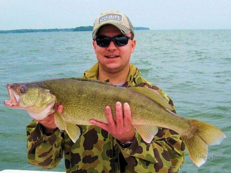 Best Fishing Locations in Ohio (Lakes & Rivers)