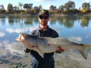 Best Striped Bass Fishing Spots & Charters in California - Freshwater