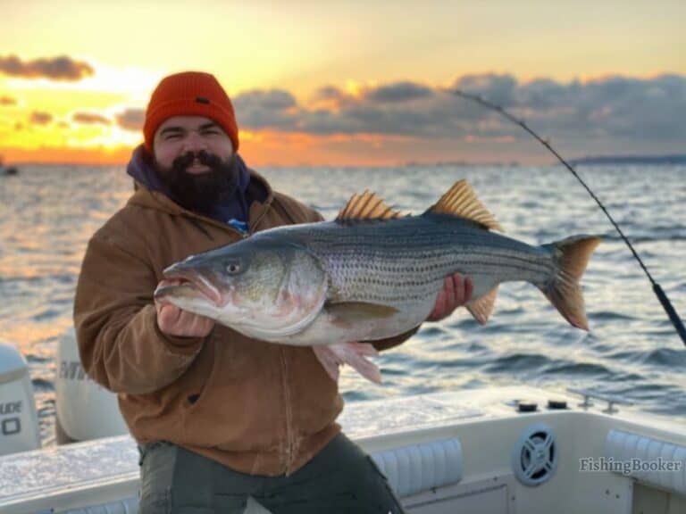 Best Water Temperatures for Striped Bass (Complete Guide)