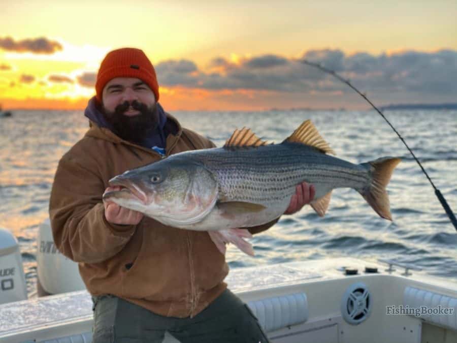 Best Water Temperatures for Striped Bass (Complete Guide) - Freshwater  Fishing Advice