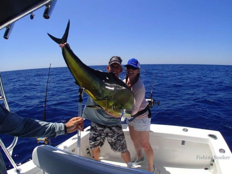 Best Florida Fishing Spots for Mahi Mahi (Dolphin)