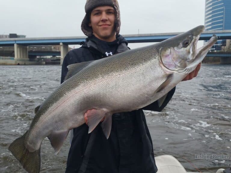 Best Salmon & Steelhead Fishing in Michigan (Rivers & Lakes