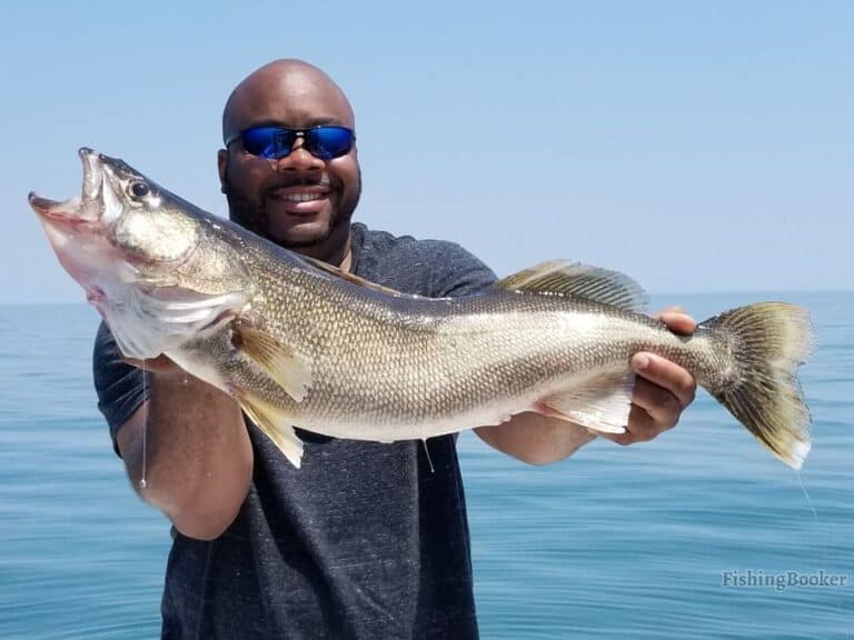 Best Fishing Spots on Lake Erie (USA & Canada Best Spots) - Freshwater