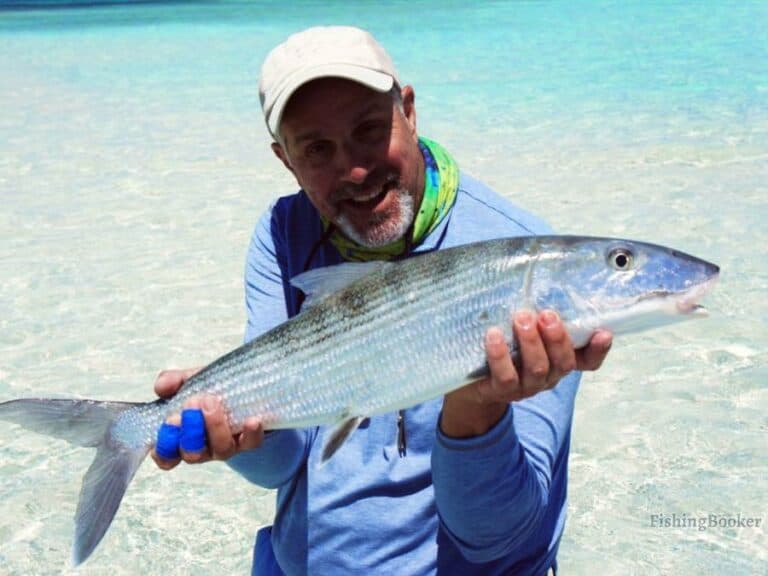 Best Times & Season to Fish The Bahamas (Complete Guide)