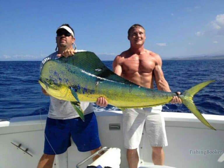 Best Times & Season to Fish Kailua-Kona (Complete Guide) - Freshwater 