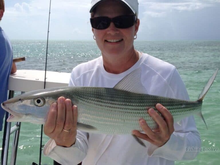 Best Times & Seasons to Catch Bonefish in the Florida Keys