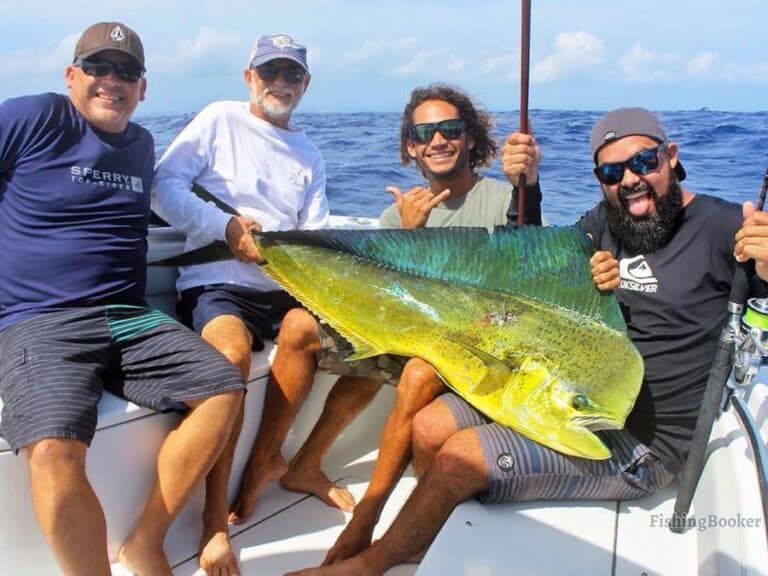 Best Fishing Spots in Puerto Rico (Saltwater & Freshwater)