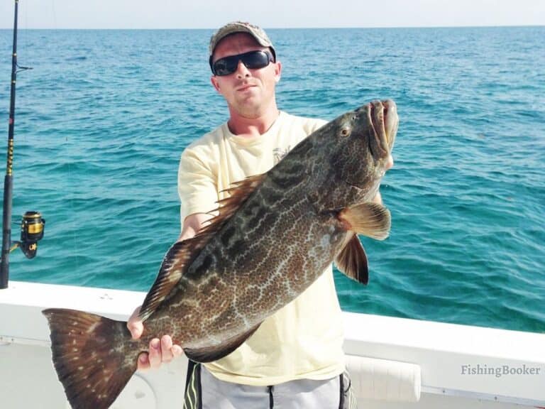 Best Times & Seasons for Grouper Fishing in the Florida Keys