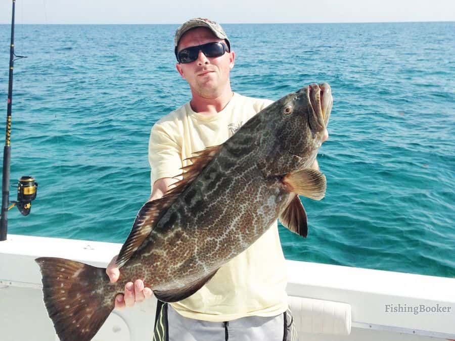 grouper has been caught