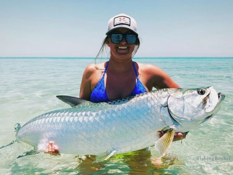 Best Times to Catch Tarpon in Florida (Complete Guide)