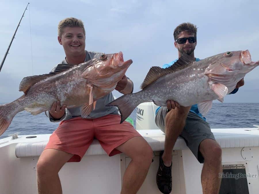 Best Times to Catch Grouper in Florida Guide) Freshwater
