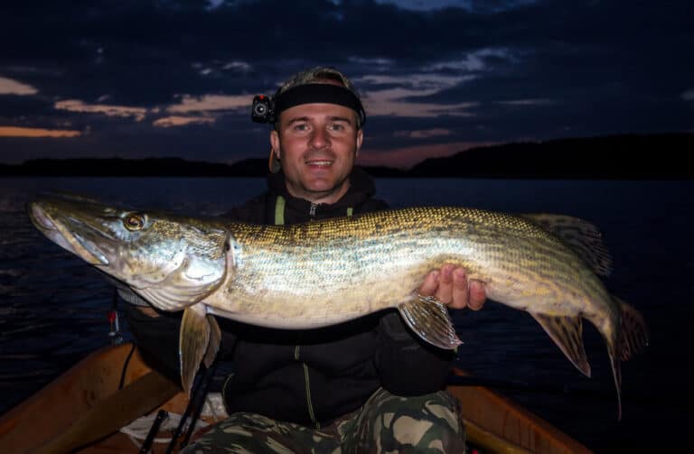 Which Fish Bite at Night? (A Complete Night Fishing Guide)