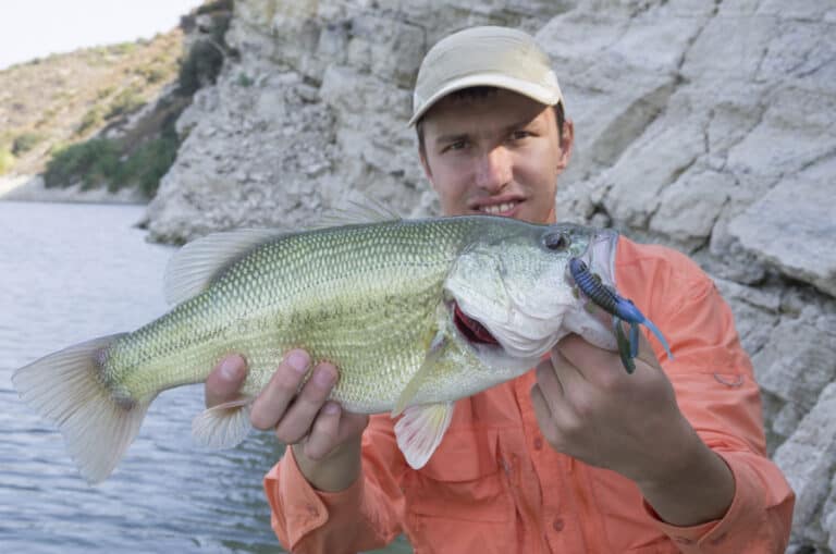 Best Time of Day to Catch Largemouth Bass (Complete Guide) - Freshwater