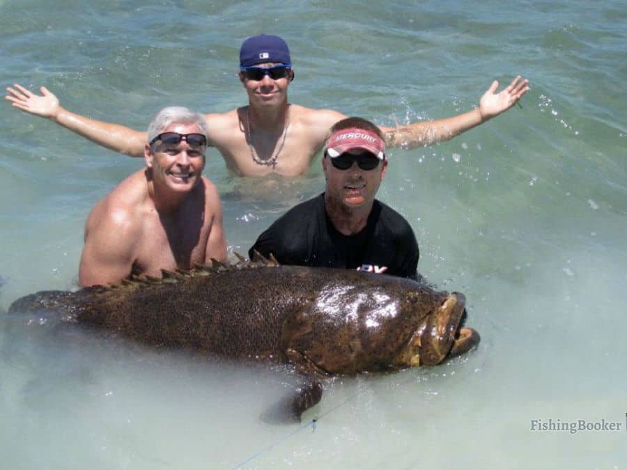 grouper has been caught