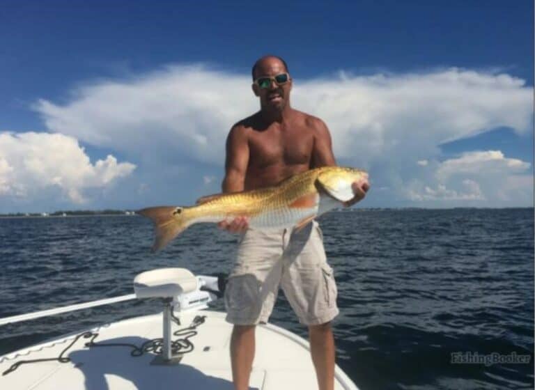 Best Times & Seasons to Catch Florida Redfish (Easy Guide)