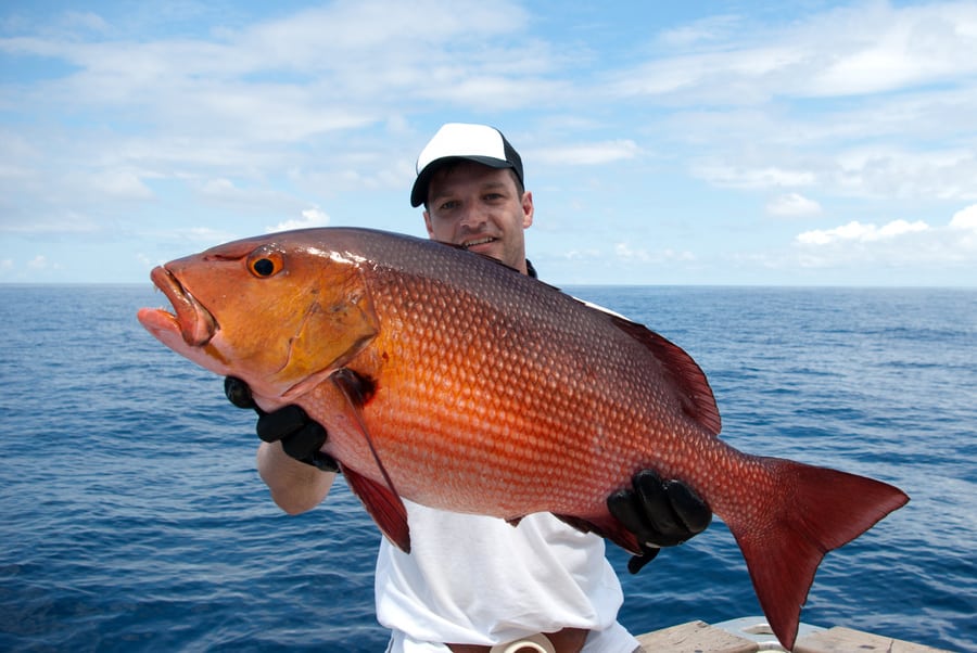 red snapper caught by an angler