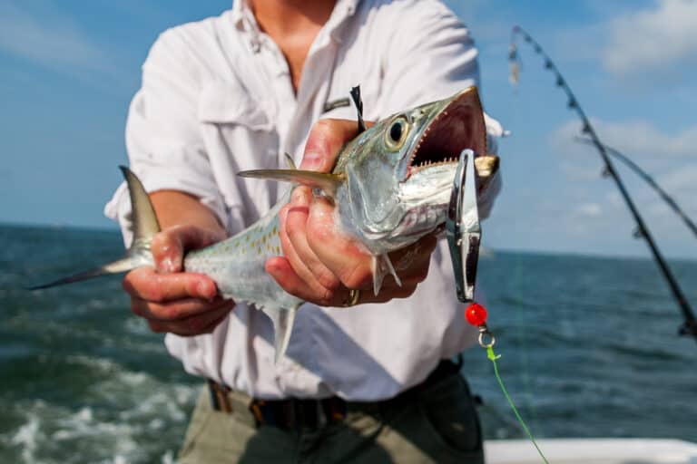 Best Times & Seasons to Fish near Orlando, FL (Full Guide)