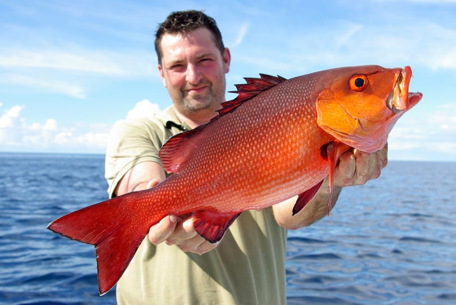 red snapper caught by an angler