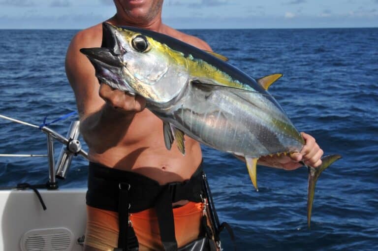 Best Water Temperatures for Tuna Fishing (Complete Guide)