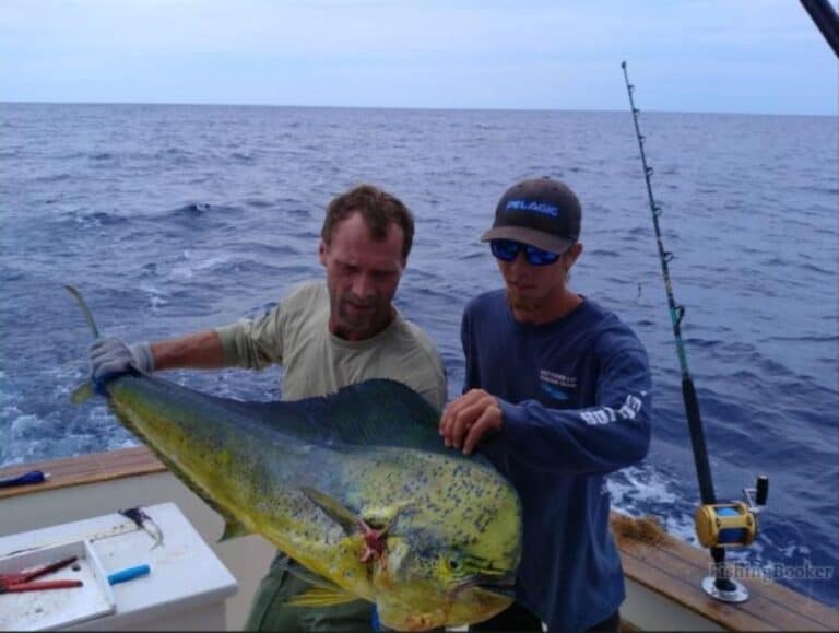 Best Times & Seasons to Fish near Fernandina Beach, FL