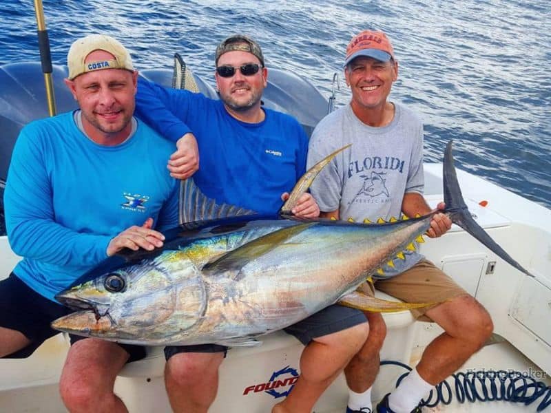 tuna caught by an angler