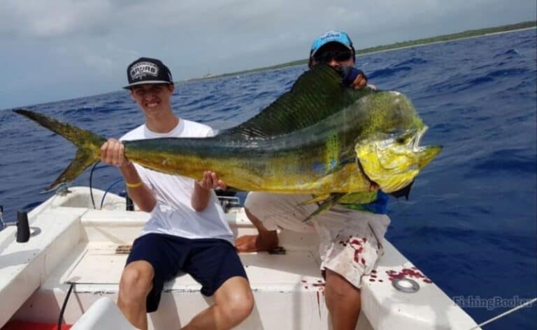 best time of year for fishing in playa del carmen