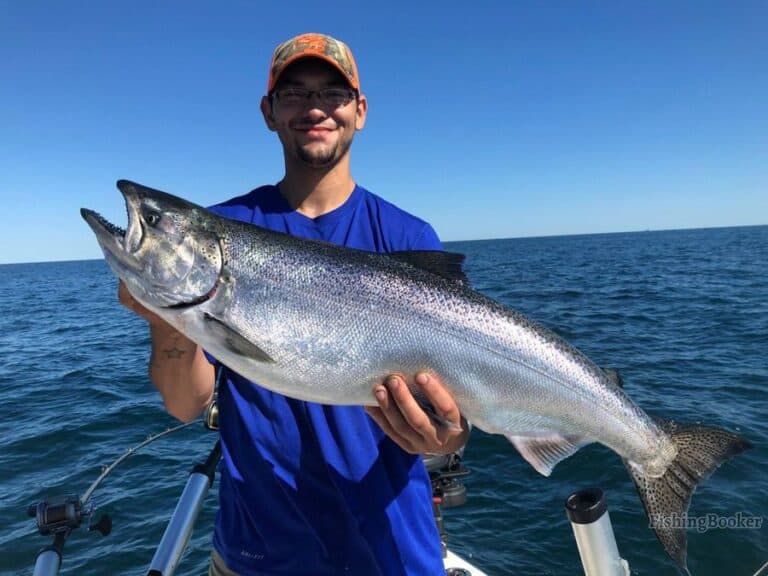 Best Times & Seasons to Fish Lake Ontario (Full Guide)