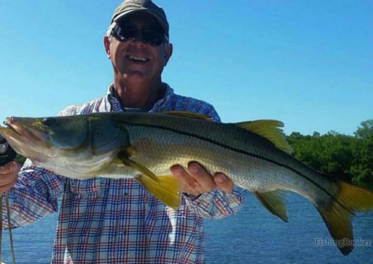 Best Times & Seasons to Fish Fort Myers (A Complete Guide)