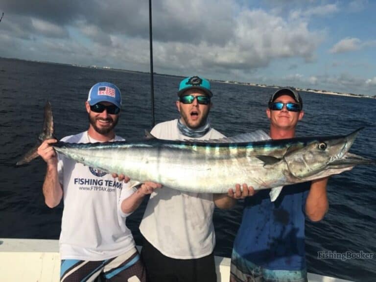 Best Times & Seasons to Fish in Delray Beach, FL (A Guide)