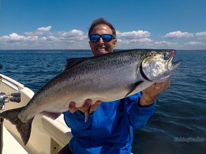 Best Times & Seasons to Fish Near Seattle Guide) Freshwater