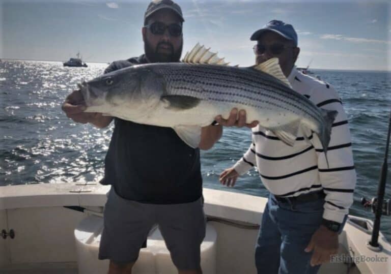 Best Times & Seasons to Fish Cape Cod (Complete Guide)