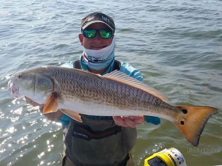 redfish caught by angler