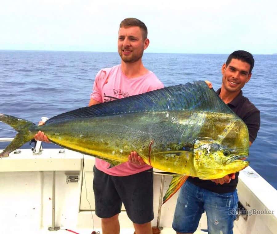 man holding a fish