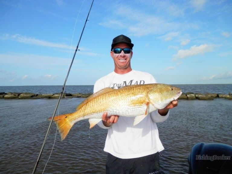 Best Times & Seasons to Fish Near Port Arthur (Full Guide)