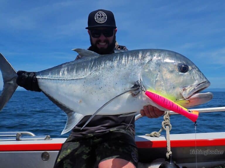 Best Times & Seasons to Fish in Cairns (Australia)